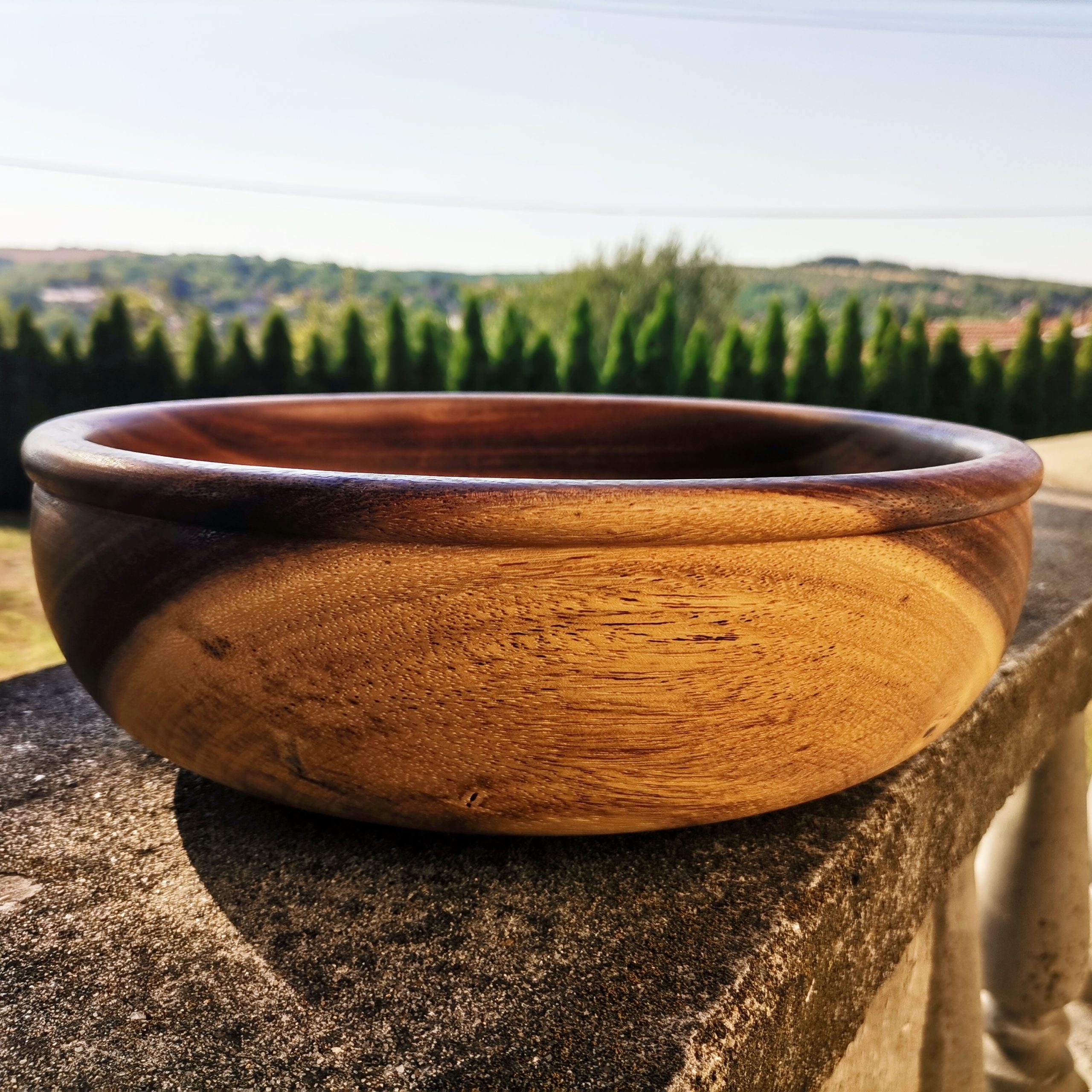 IMG_20230818_165854_634